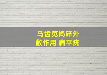 马齿苋捣碎外敷作用 扁平疣